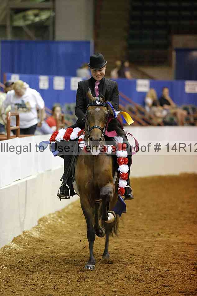 Proof Number 14r12_8916