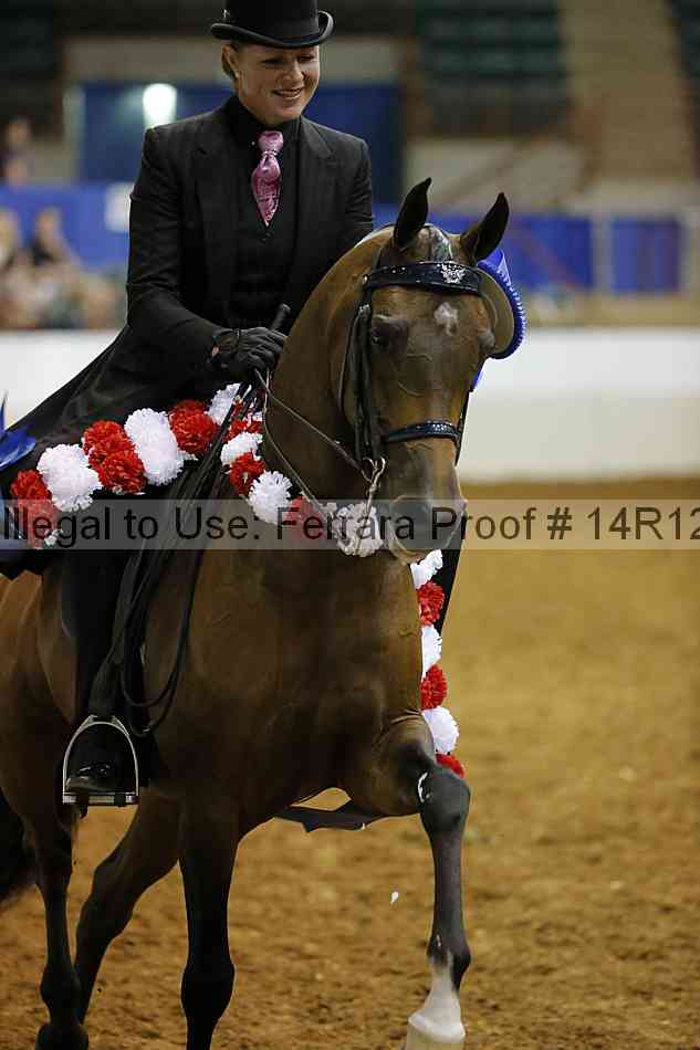Proof Number 14r12_8918