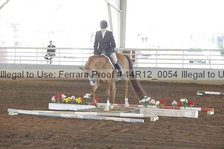 Proof Number 14r12_0054