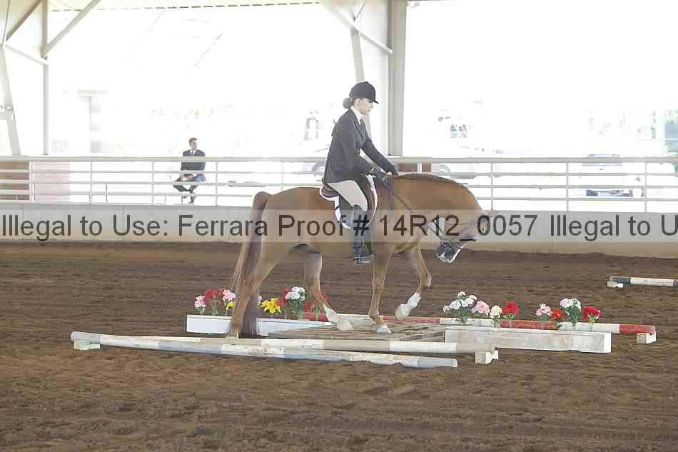 Proof Number 14r12_0057