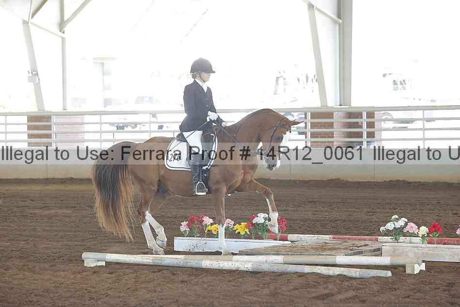 Proof Number 14r12_0061
