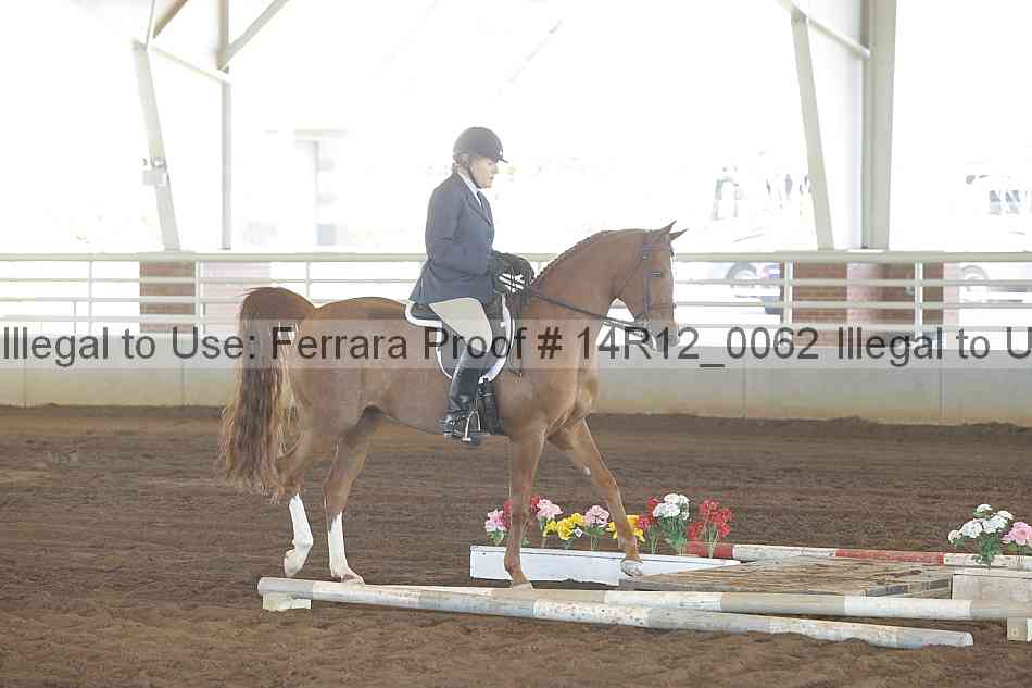 Proof Number 14r12_0062