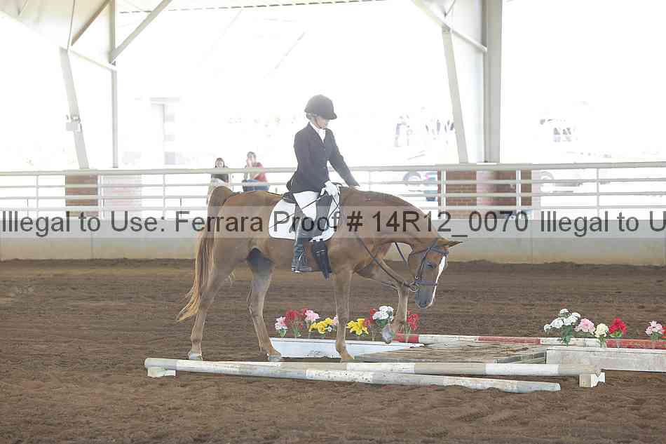 Proof Number 14r12_0070