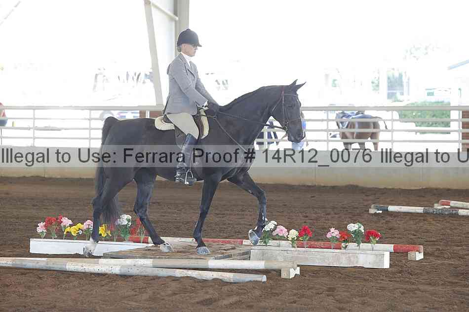 Proof Number 14r12_0076