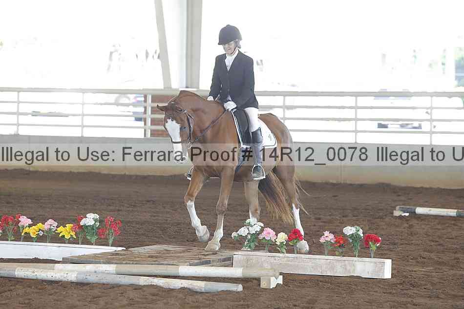 Proof Number 14r12_0078