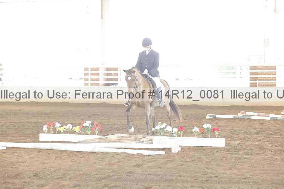 Proof Number 14r12_0081