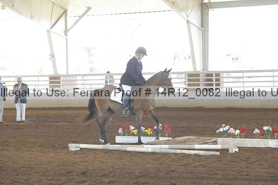 Proof Number 14r12_0082
