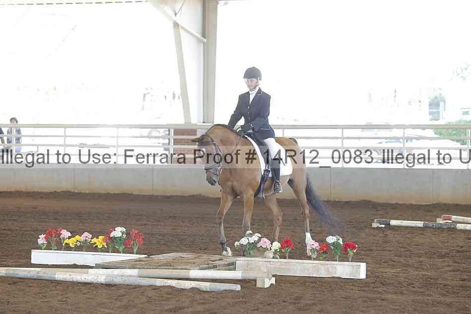 Proof Number 14r12_0083