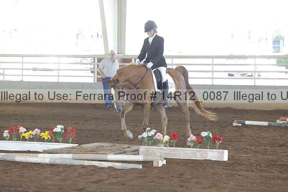 Proof Number 14r12_0087