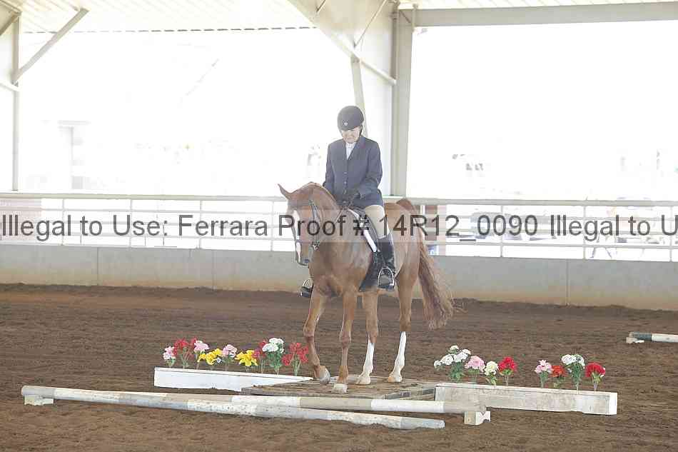 Proof Number 14r12_0090