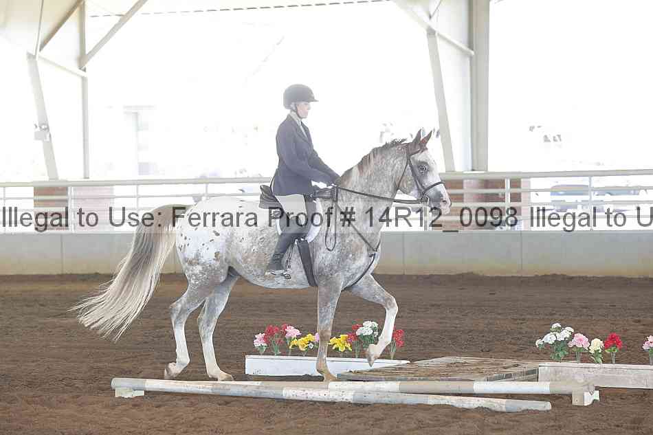 Proof Number 14r12_0098