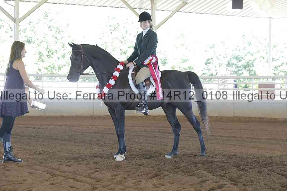 Proof Number 14r12_0108