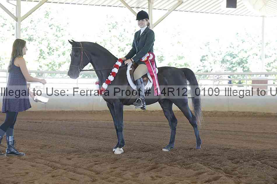 Proof Number 14r12_0109