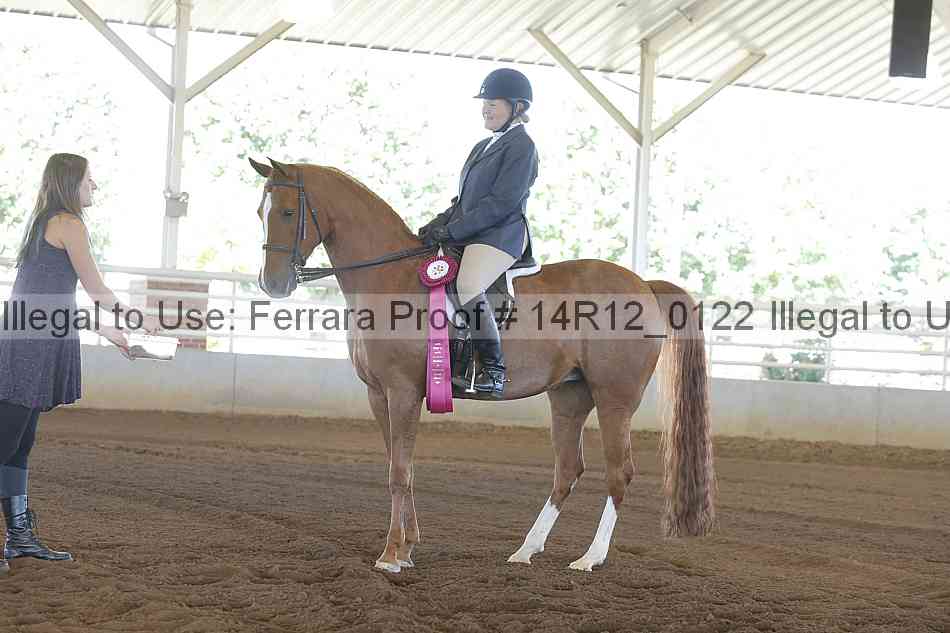 Proof Number 14r12_0122