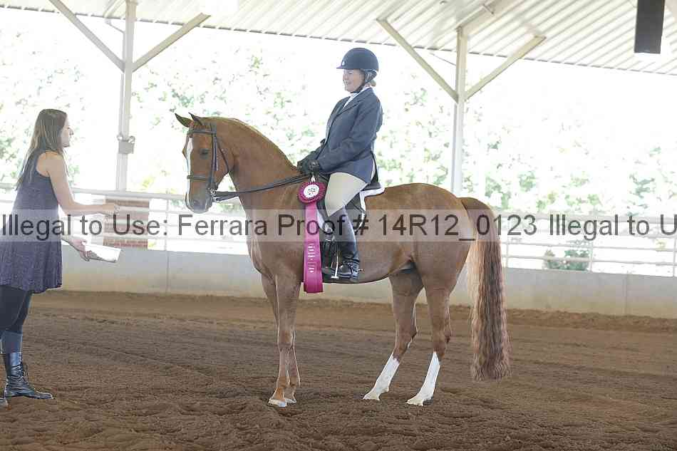 Proof Number 14r12_0123