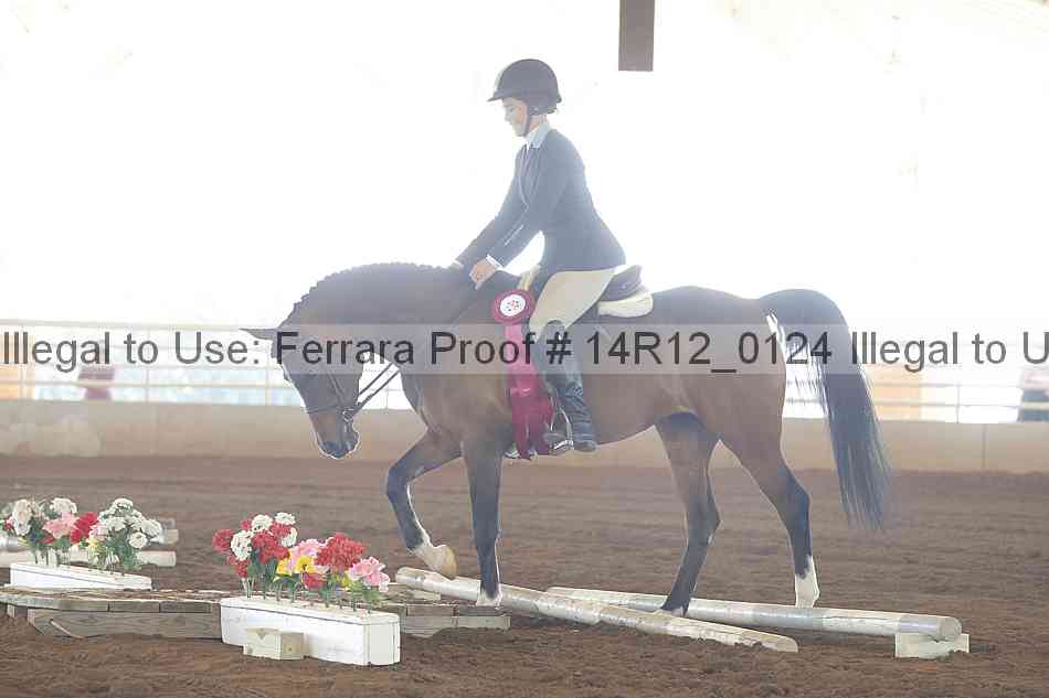 Proof Number 14r12_0124