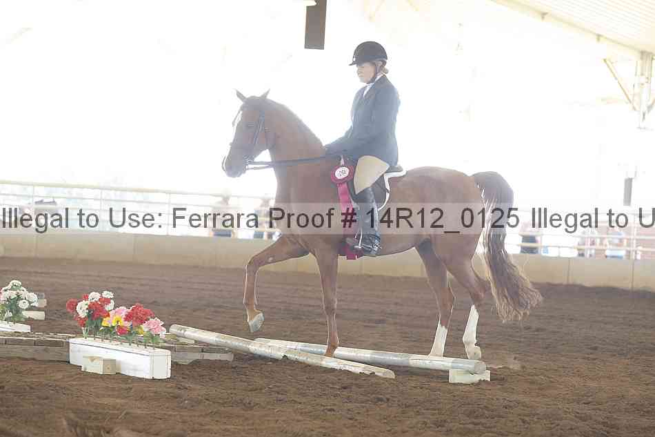 Proof Number 14r12_0125