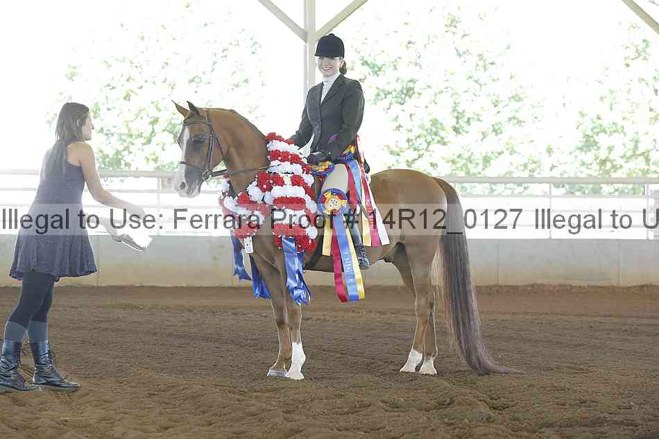 Proof Number 14r12_0127