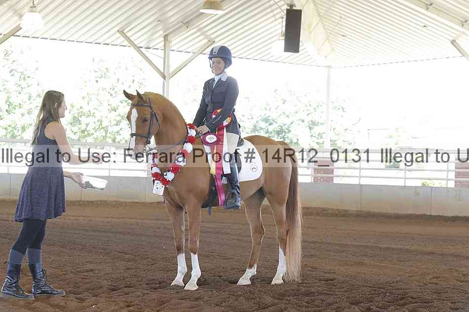 Proof Number 14r12_0131