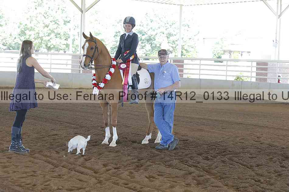 Proof Number 14r12_0133