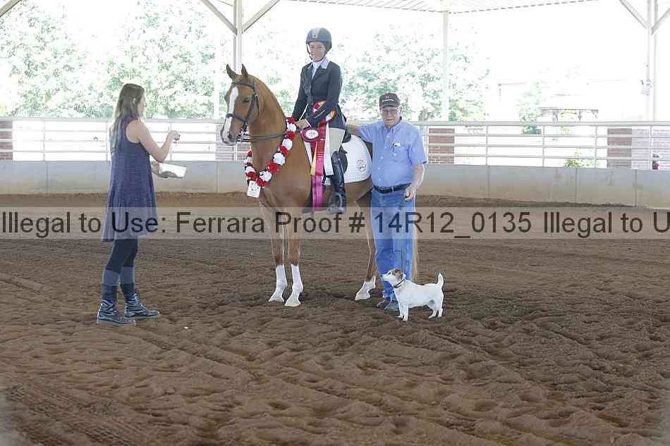 Proof Number 14r12_0135