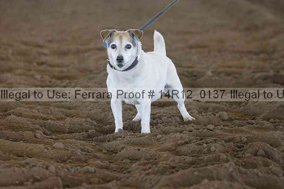 Proof Number 14r12_0137