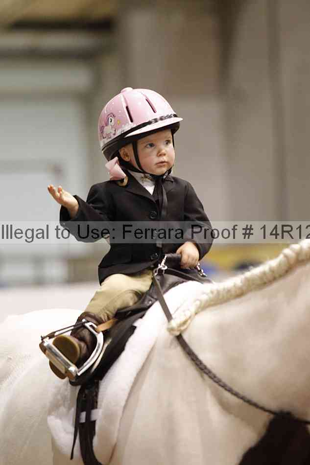 Proof Number 14r12_3562
