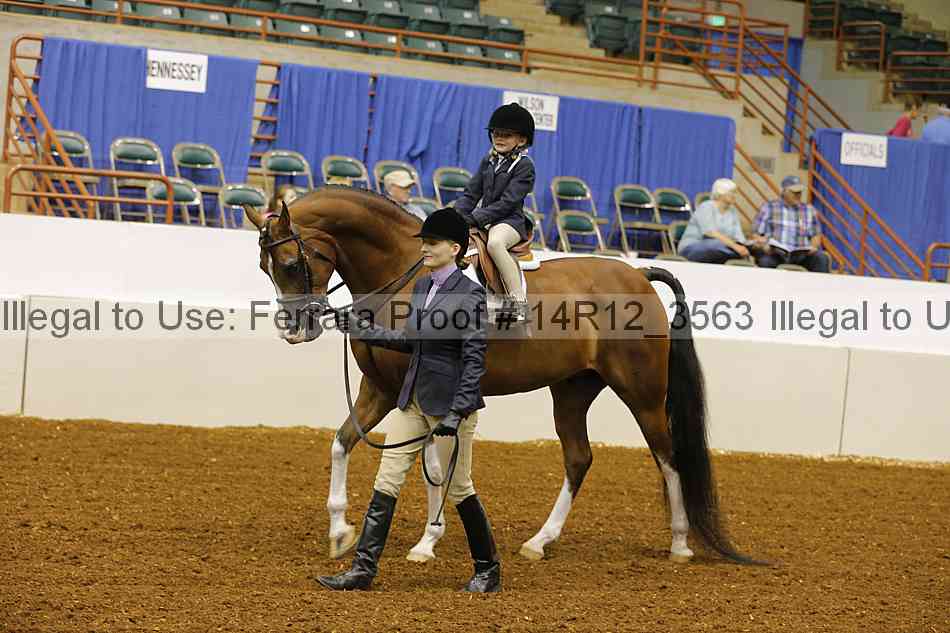 Proof Number 14r12_3563