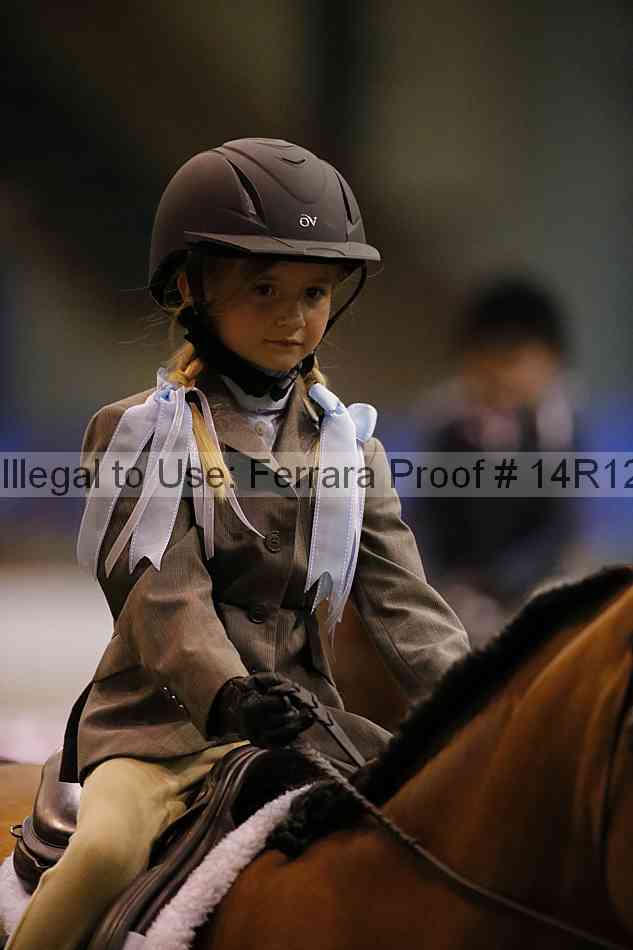 Proof Number 14r12_3576