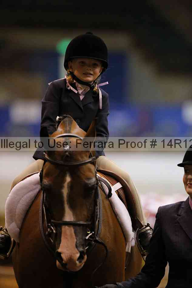 Proof Number 14r12_3578