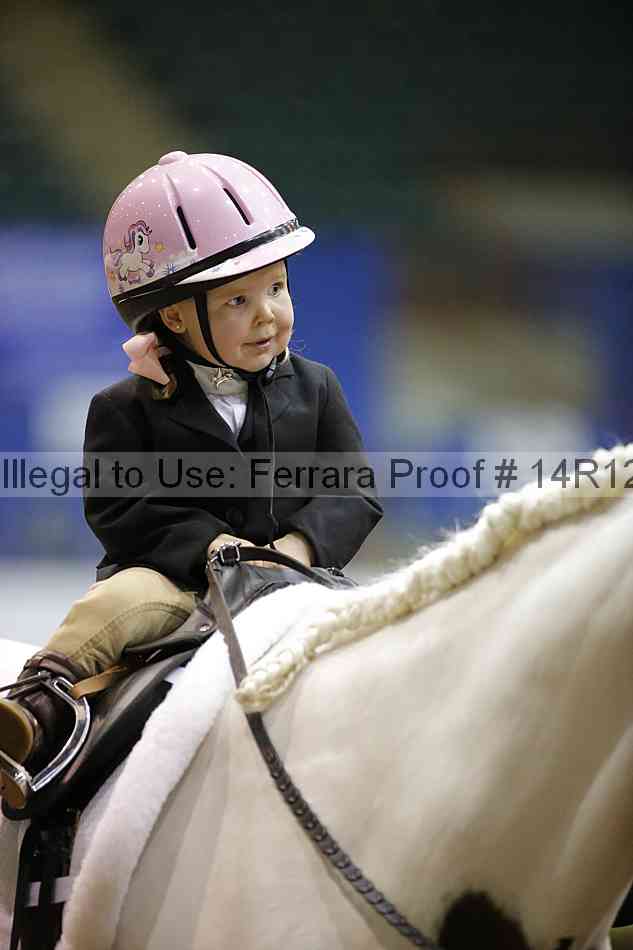 Proof Number 14r12_3582