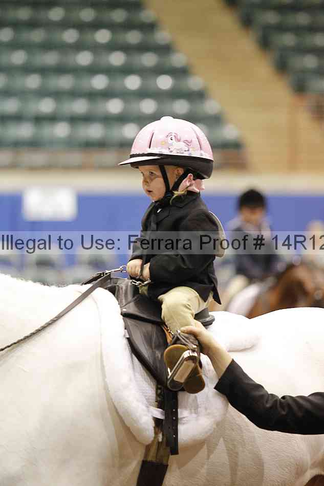Proof Number 14r12_3593