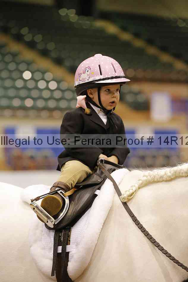 Proof Number 14r12_3594