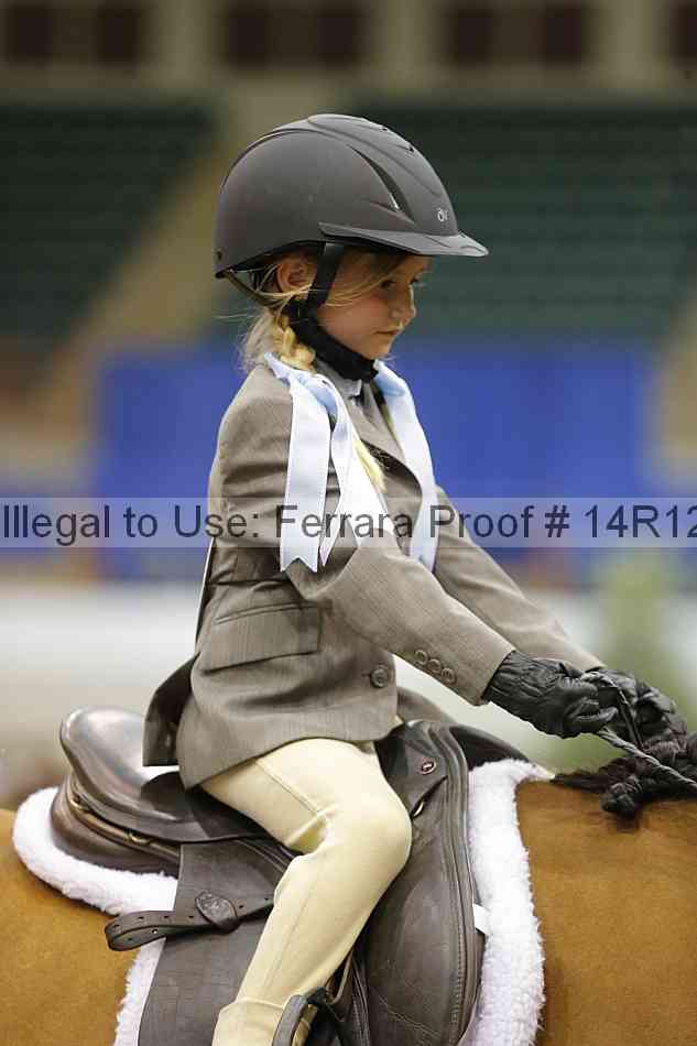 Proof Number 14r12_3608