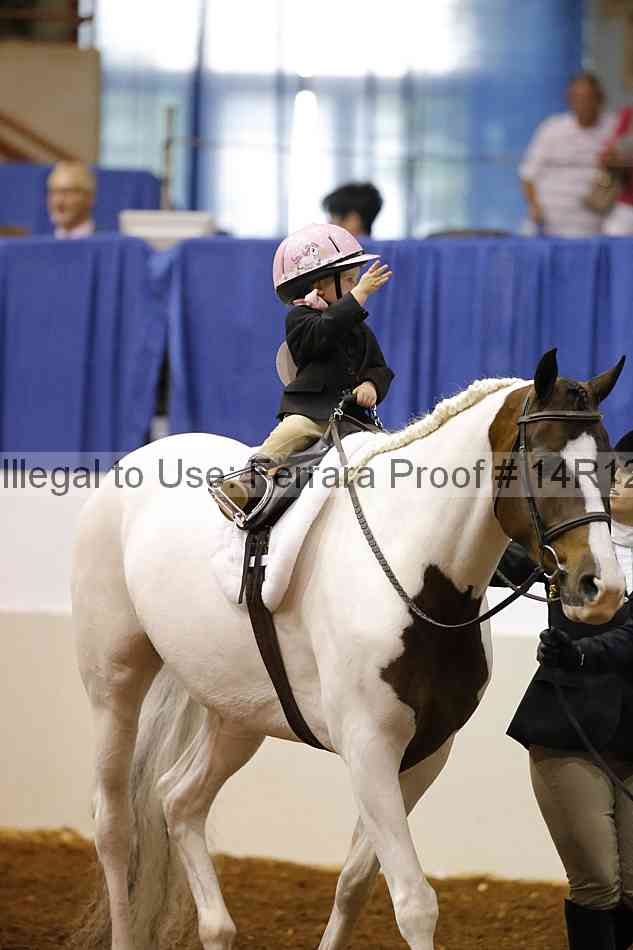 Proof Number 14r12_3610