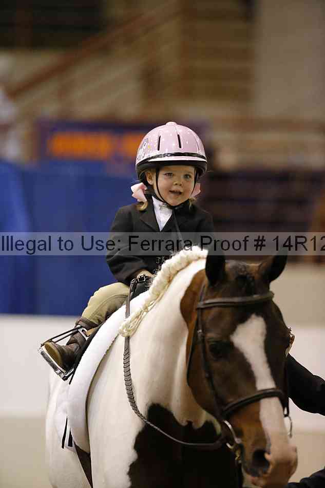 Proof Number 14r12_3613