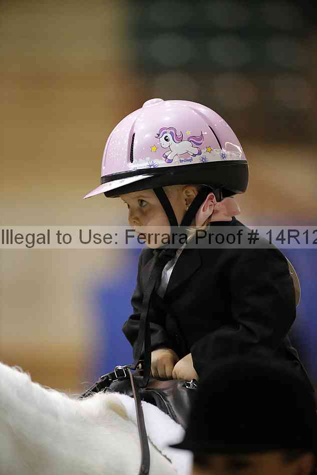 Proof Number 14r12_3614