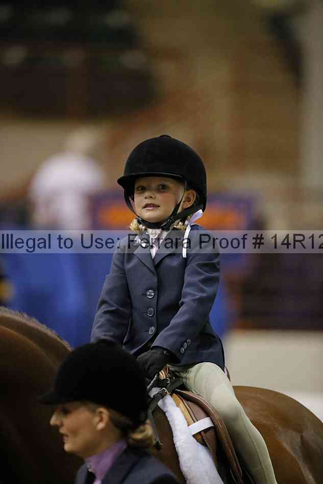 Proof Number 14r12_3618