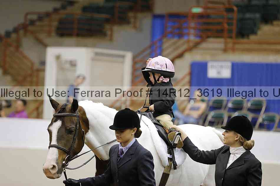 Proof Number 14r12_3619
