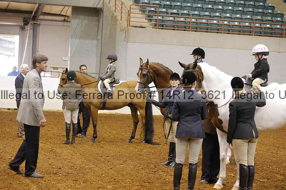 Proof Number 14r12_3621