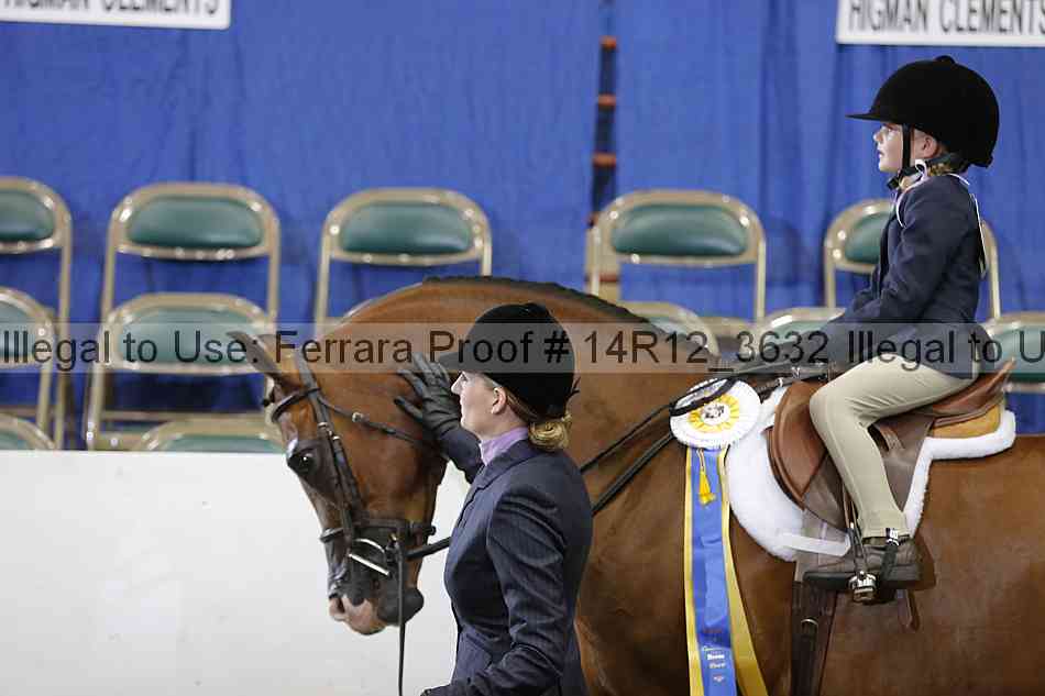 Proof Number 14r12_3632