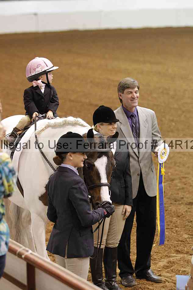 Proof Number 14r12_3633