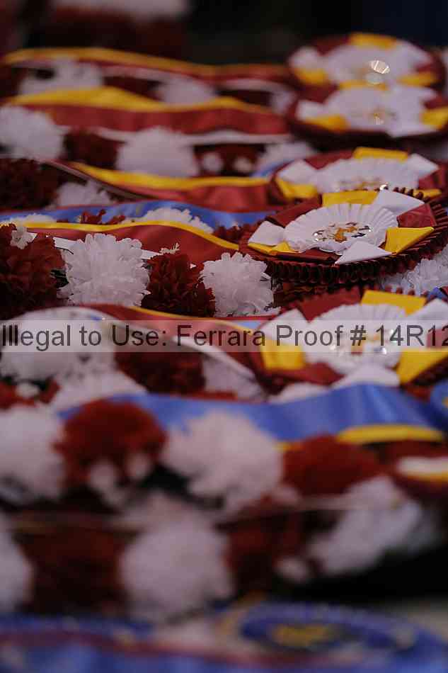 Proof Number 14r12_5251