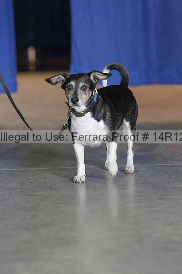 Proof Number 14r12_6393