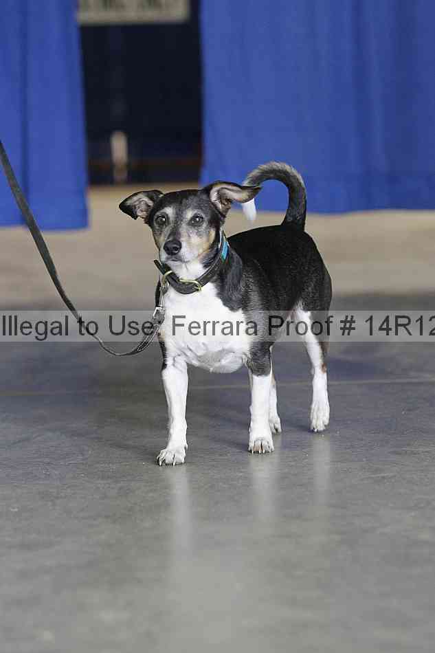 Proof Number 14r12_6394