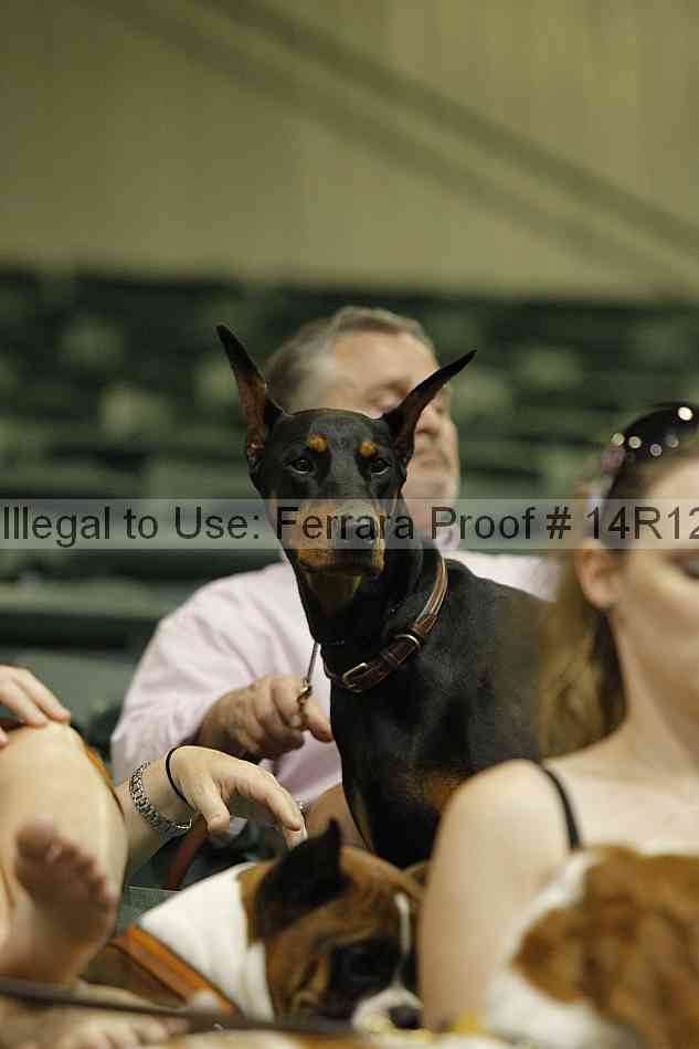 Proof Number 14r12_6399