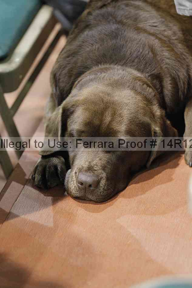 Proof Number 14r12_6407