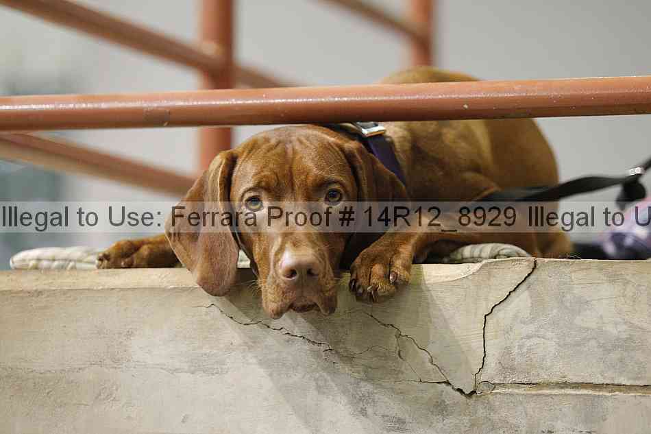 Proof Number 14r12_8929