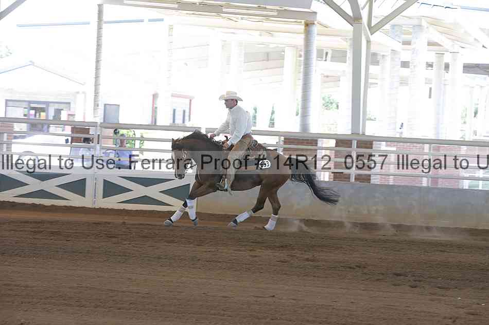 Proof Number 14r12_0557