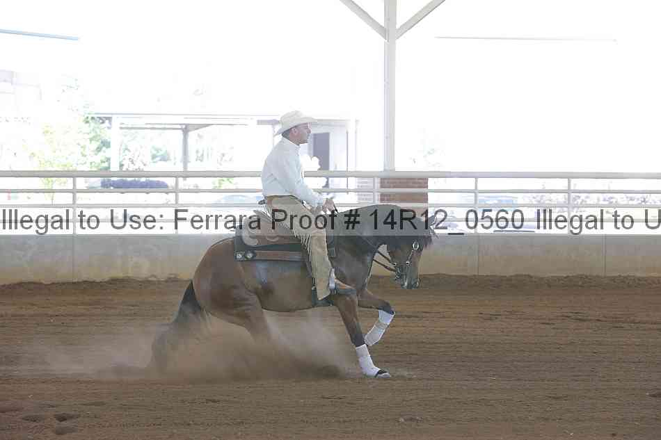 Proof Number 14r12_0560